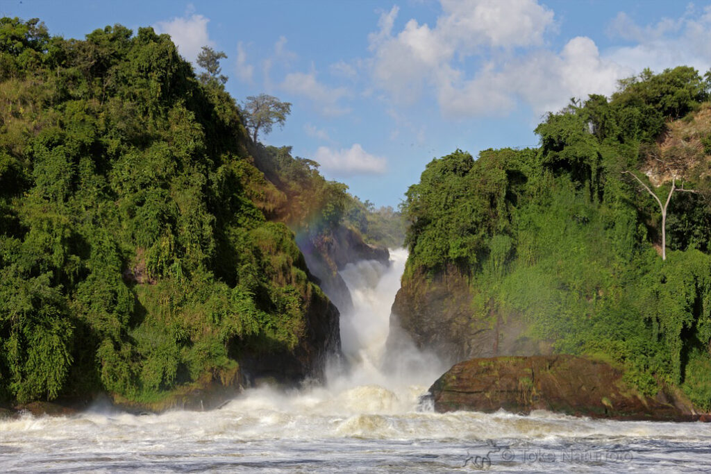 21 tägige Uganda Safari „Uganda Intensiv“